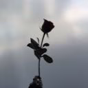 Nikoletta_01