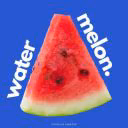 Watermelon05755