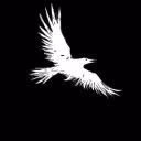 The_Black_Goose