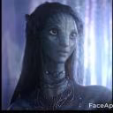 darksy8