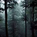 Lost_Paradise_