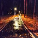 Olya_Lipa