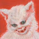 sophikatze