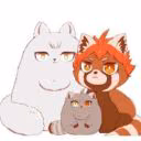 user80629818