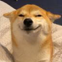 AllergyQ