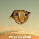 rigaja_gnida
