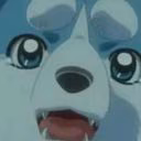 YUTpuppy