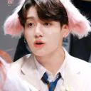 namjiinisreaal