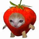 _Mr_Chmonia_