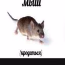 TeplenkoeMolochko