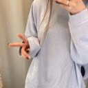 delysverner