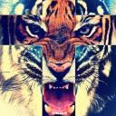 _dayanka_
