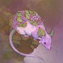 _sunria_