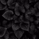 kate_lacur