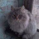Vasia007qazwsx
