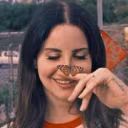 user86541060