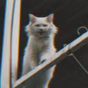 arrh_0