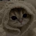 likaRika1