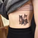 midnight_the_cat_