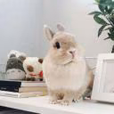 Katrina_Ledi