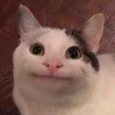kookie_stump