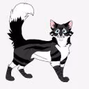 FanlWarriorlCatsllll
