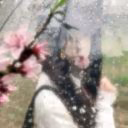 15_cherry