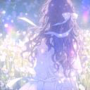 Royz_52