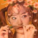 sun_sope