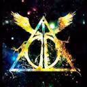 Phoenix_Wild