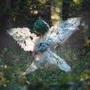 Hvan_Min_Yngi