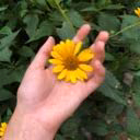 alino4ka_11