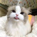 Sann1Cute