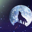 Wolf_VV