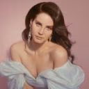 michelle-evans