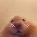 belokkkkk
