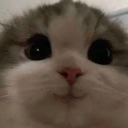 Alena_121