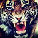 user09752