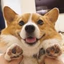 bikris_