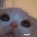 93939hsjsjks