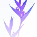 merlia_72
