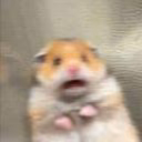 fucking_happy