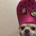 _peach__4_