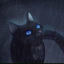 AnnCat7