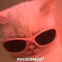 _afmmm_