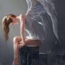angel_zai21