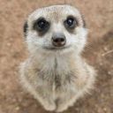 snusmumricus_magicus