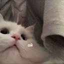 heyklyo