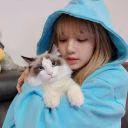 faan_kpop