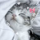 arya_zxc